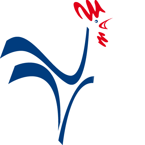 Logo de Sodifram Tsingoni
